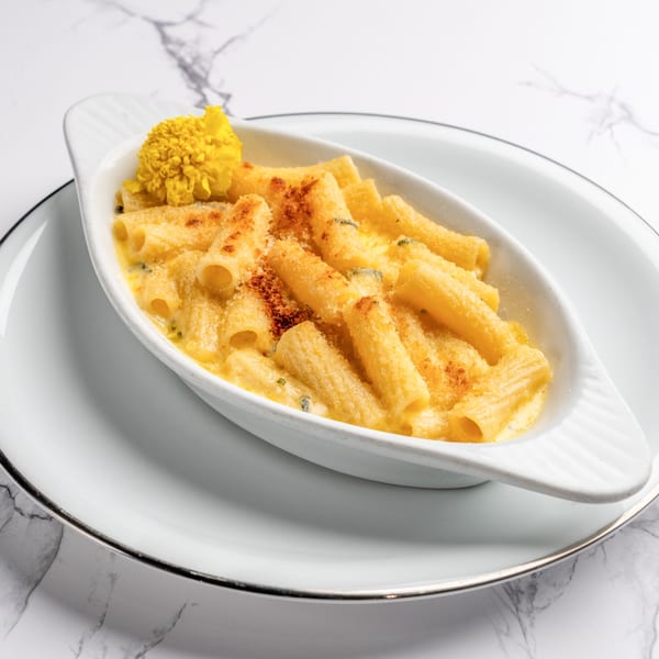 Baked rigatoni pasta with a creamy cheese sauce, topped with breadcrumbs and a yellow flower.